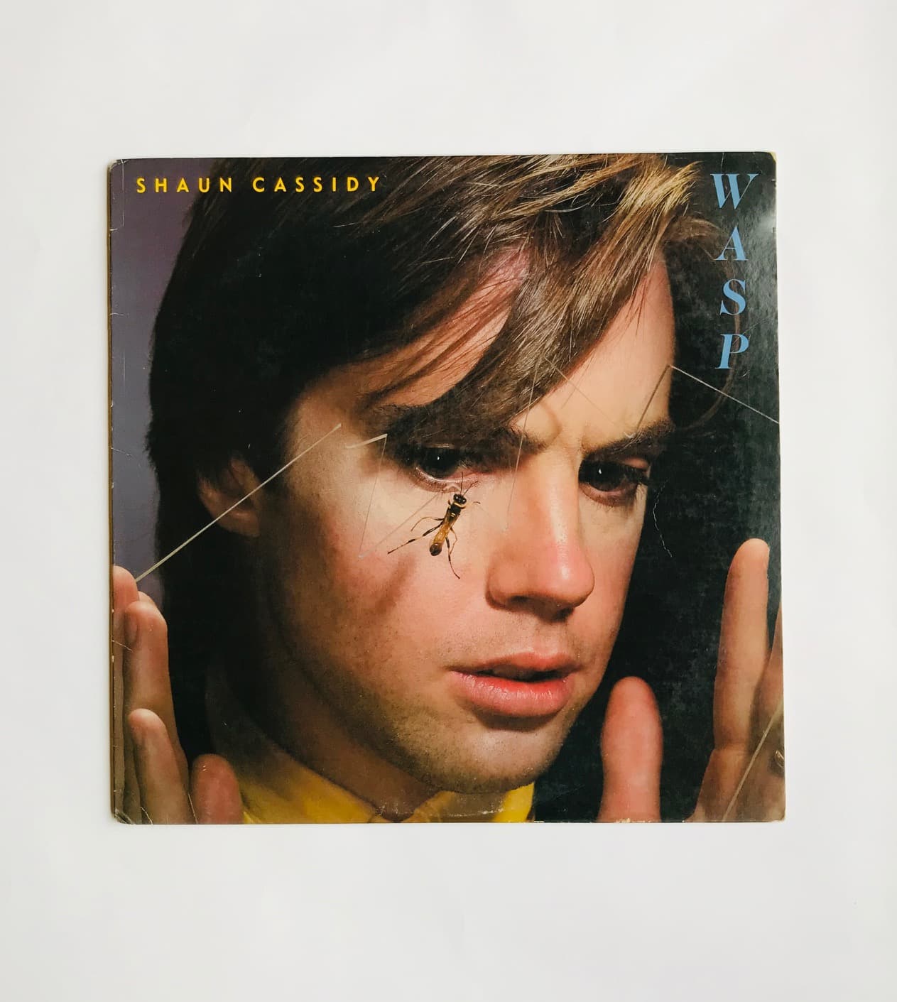 "WASP", LP de Shaun Cassidy