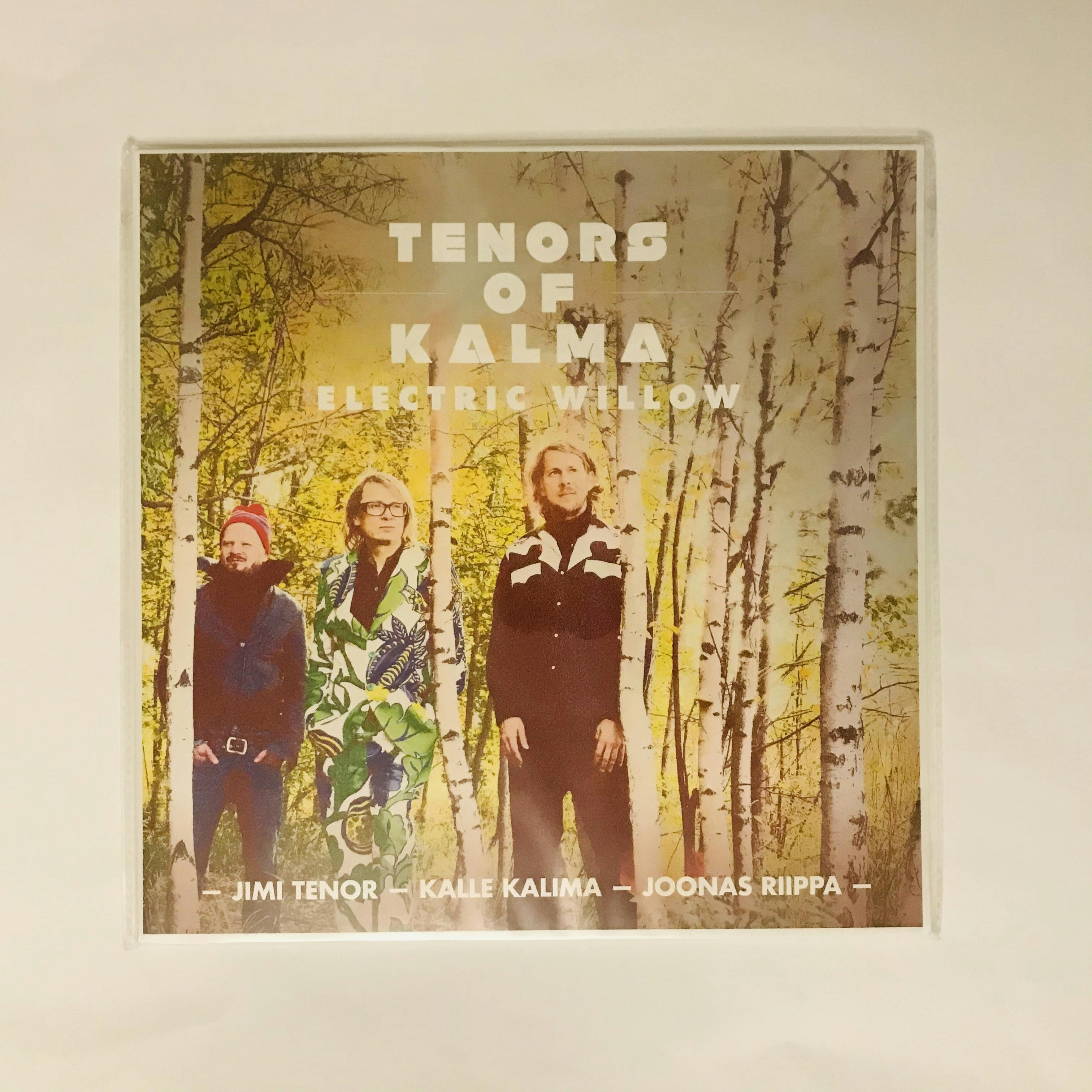 "ELECTRIC WILLOW", LP de Tenors of Kalma